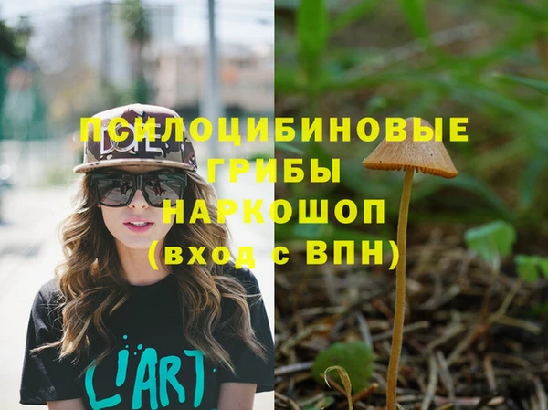 сатива Белокуриха