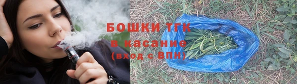 сатива Белокуриха